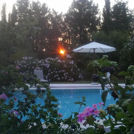 Amalia Acharavi Acharavi (Corfu)